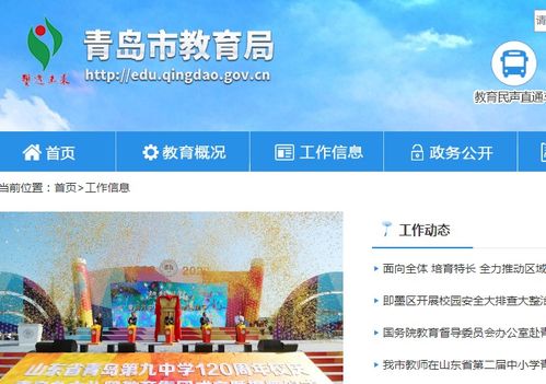 青岛网站大全，青岛网站排名