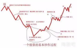市盈率低好还是高好，市盈率高好还是低好多少合理