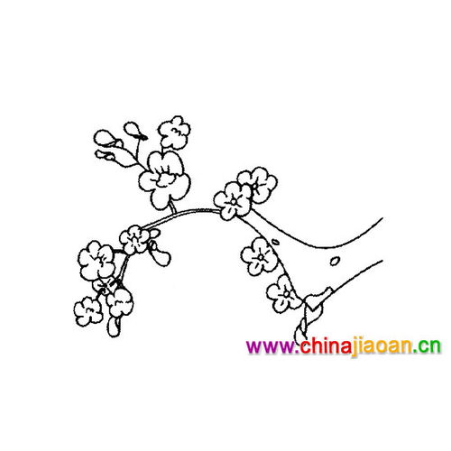 梅花怎么画简单又好看，画梅花简笔画