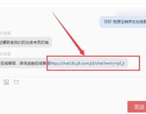 京东怎么关闭白条，京东怎么关闭白条分分卡