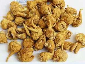 云南玛卡的功效，云南玛卡的功效与作用价格