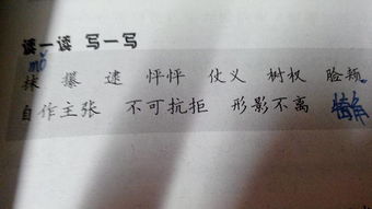 用也字造句