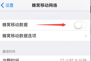 蜂窝数据什么意思，蜂窝数据什么意思是指流量吗