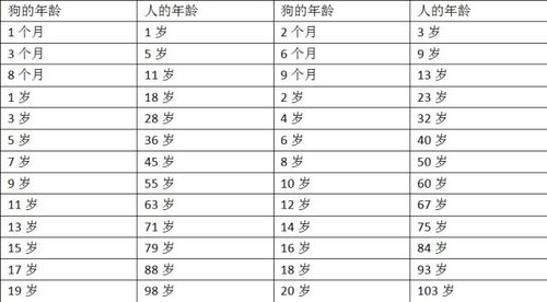 图解狗狗牙齿怎么看年龄