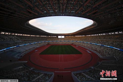 奥运会资料，奥运会资料大全简介2022
