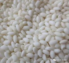 圆江米，圆江米厂家