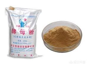 常吃酵母粉的危害，常吃酵母粉的危害和好处