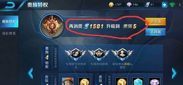 王者v8要充多少?