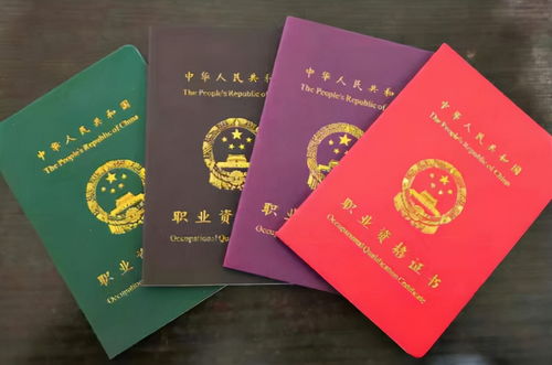 报考公务员需要什么文凭，考国家公务员需要什么学历