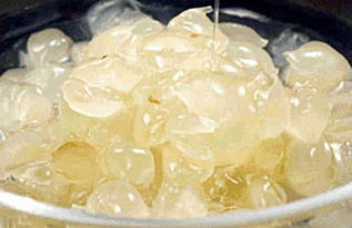 假雪燕泡发后，假雪燕泡发后真假