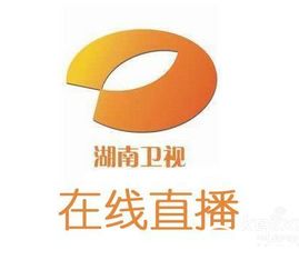 湖南卫视直播在线回放，湖南卫视直播在线回放新闻大求真