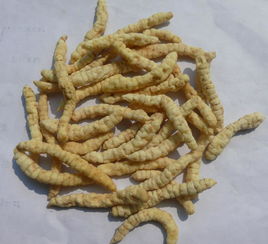 地牯牛，地牯牛泡菜