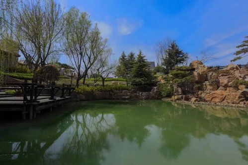 安家在哪个台，安家在哪个台播出,什么时间