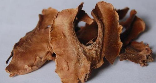 核桃的 分心木 多少钱一斤?