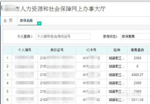 社保号码怎么查询，个人社保信息查询