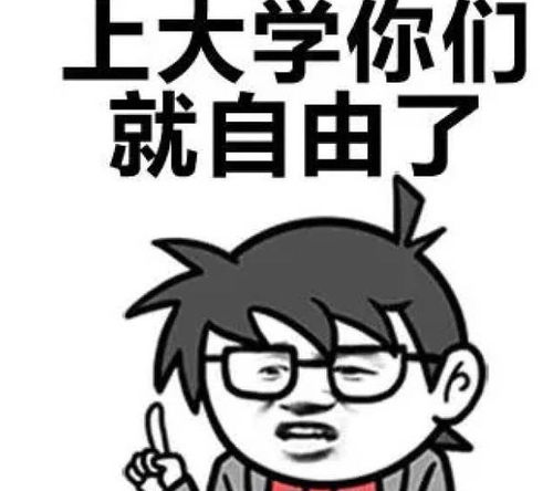 我不是傻子，你不是个傻子吧