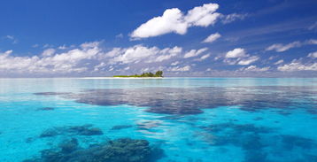 梦见八爪鱼是什么意思，做梦梦见八爪鱼是什么意思