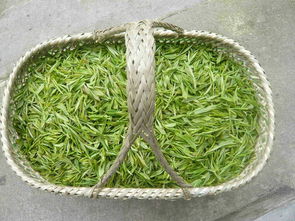 安徽名茶有哪些，安徽产什么名茶
