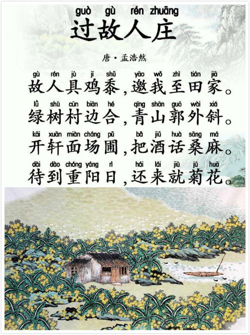 过故人庄古诗，过故人庄古诗翻译