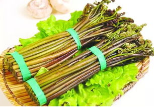 蕨菜的功效作用及危害，蕨菜图片功效与作用