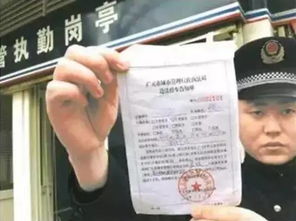 交通违章罚款缴费，交通违章罚款网上缴费app