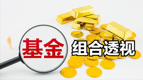 基金买什么类型的好，基金买什么类型的好呢
