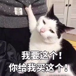 撒娇表情包，撒娇表情包动图
