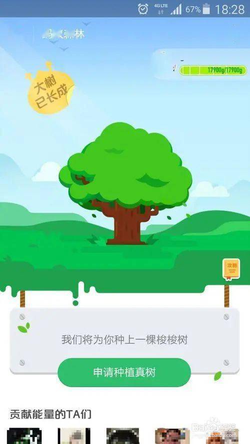 蚂蚁帮扶，蚂蚁帮扶为什么下架了