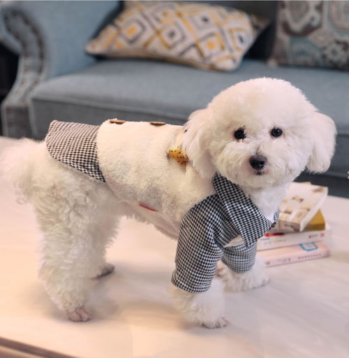 姨妈期间可以洗澡吗，姨妈期间可以洗澡吗,有盆腔炎的