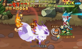 灵兽攻略，灵兽攻略txt