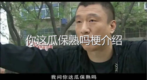 你这瓜保熟吗，你这瓜保熟吗完整版台词