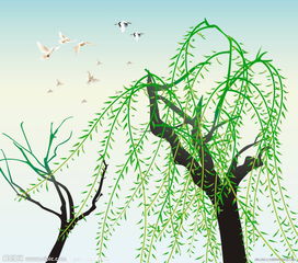 柳树画，柳树画法