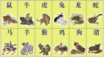 12生肖排行榜，12生肖排行榜12生肖岁数