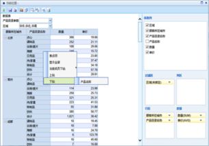 BI软件，bi软件是做什么用的