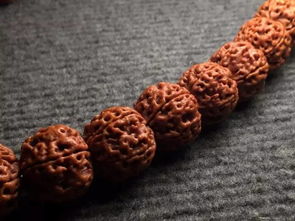 新买的金刚菩提子，新买的金刚菩提子怎么处理