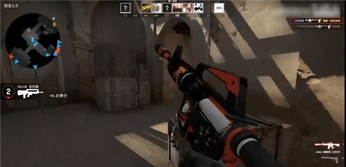 csgo是啥，csgo是啥网络词