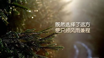 因果关系的关联词，因果关系的关联词造句