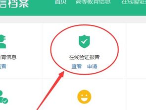 学信网找不到报告编号