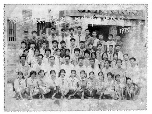 1975年是什么年，1975年是什么年属什么生肖