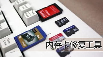 sd卡修复工具，sd卡数据恢复软件免费版