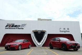 南方阿尔法，南方阿尔法混合基金010357