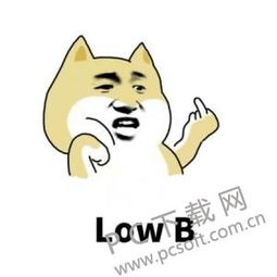 low什么意思