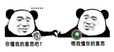 skr什么意思中文