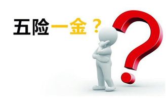 自己交五险一金怎么交，个人交五险一金一年需要多少钱