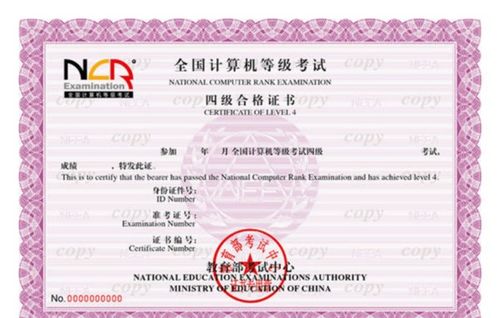 江苏省计算机二级，江苏省计算机二级报名官网入口