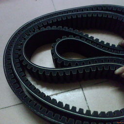 梯形齿同步带，同步带齿形