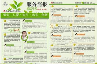 简报怎么写，简报怎么写范文300字