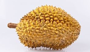 榴莲肉可以冷冻保存吗，榴莲能不能冷冻保存