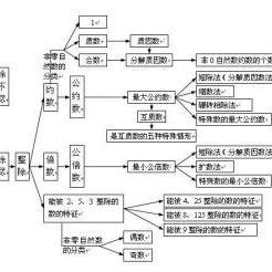 自然数概念，自然数概念是几年级学的