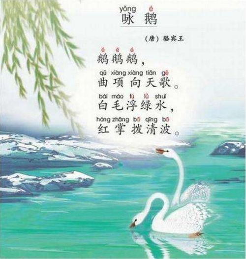 鹅古诗，鹅古诗拼音
